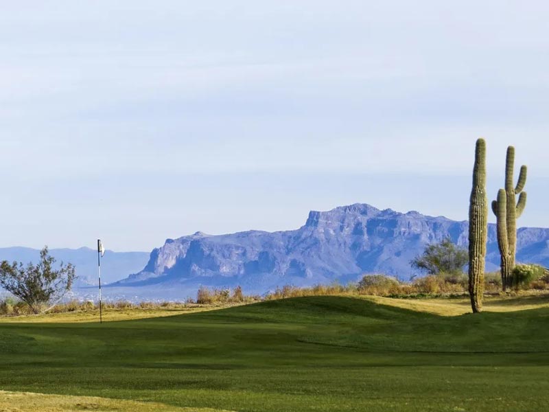 True Desert Golf